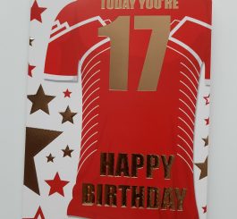 Age 17 Birthday Card Male - 17th Birthday card
