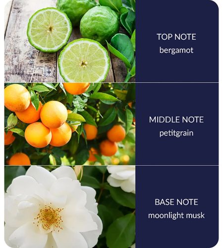 notes-starry-night-medium-4.jpg