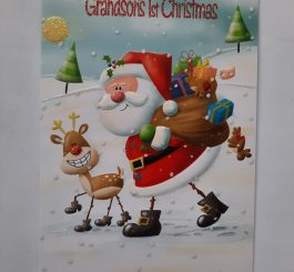 Grandson's 1st Christmas card