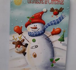 Grandson's 1st Christmas card