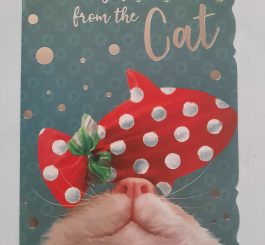 Happy Birthday fishes from the cat birthday card