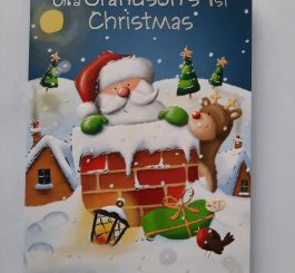 Grandson's 1st Christmas card