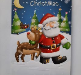 Grandson's 1st Christmas card