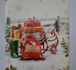 Sister and Partner Christmas card