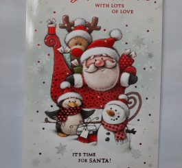 Baby's 1st Christmas card